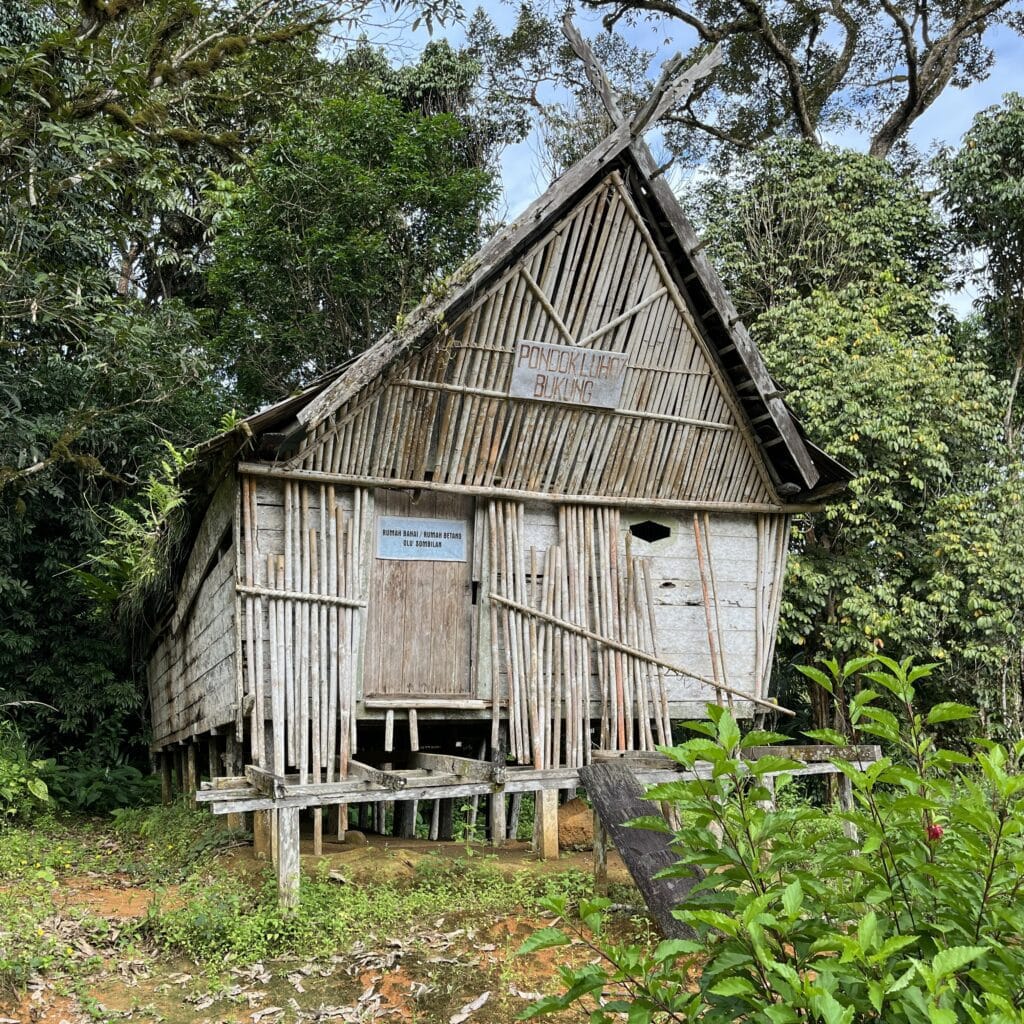 20250917_085213012_iOS